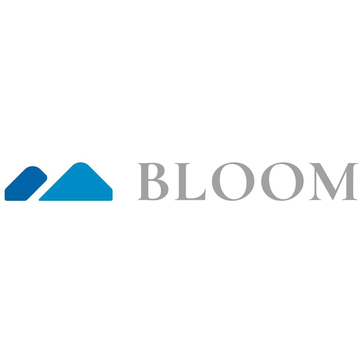 BLOOM CO., LTD.  |  株式会社ブルーム